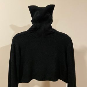 Princess Polly Cropped Turtle Neck Black Sweater